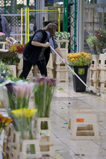 MIN RUNGIS-Fleurs-88.jpg